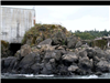 Willamette Falls Blue Heron Boat Tour 4