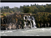 Willamette Falls Blue Heron Boat Tour 13