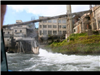 Willamette Falls Blue Heron Boat Tour 16