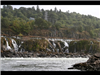 Willamette Falls Blue Heron Boat Tour 20