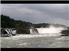 Willamette Falls Blue Heron Boat Tour 38