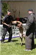 K-9 Police Practice 6