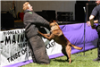 K-9 Police Practice 12