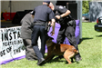 K-9 Police Practice 14