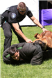 K-9 Police Practice 16