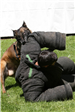 K-9 Police Practice 20