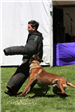 K-9 Police Practice 22