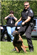 K-9 Police Practice 26
