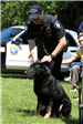 K-9 Police Practice 1
