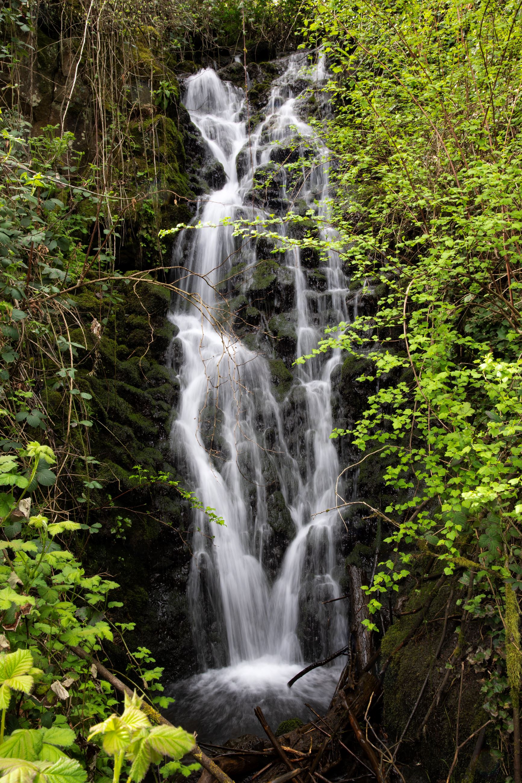 Coffee Creek falls 1