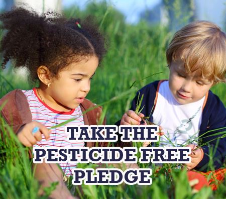 Two kids playing outdoors with the caption Take The Pesticide Free Pledge