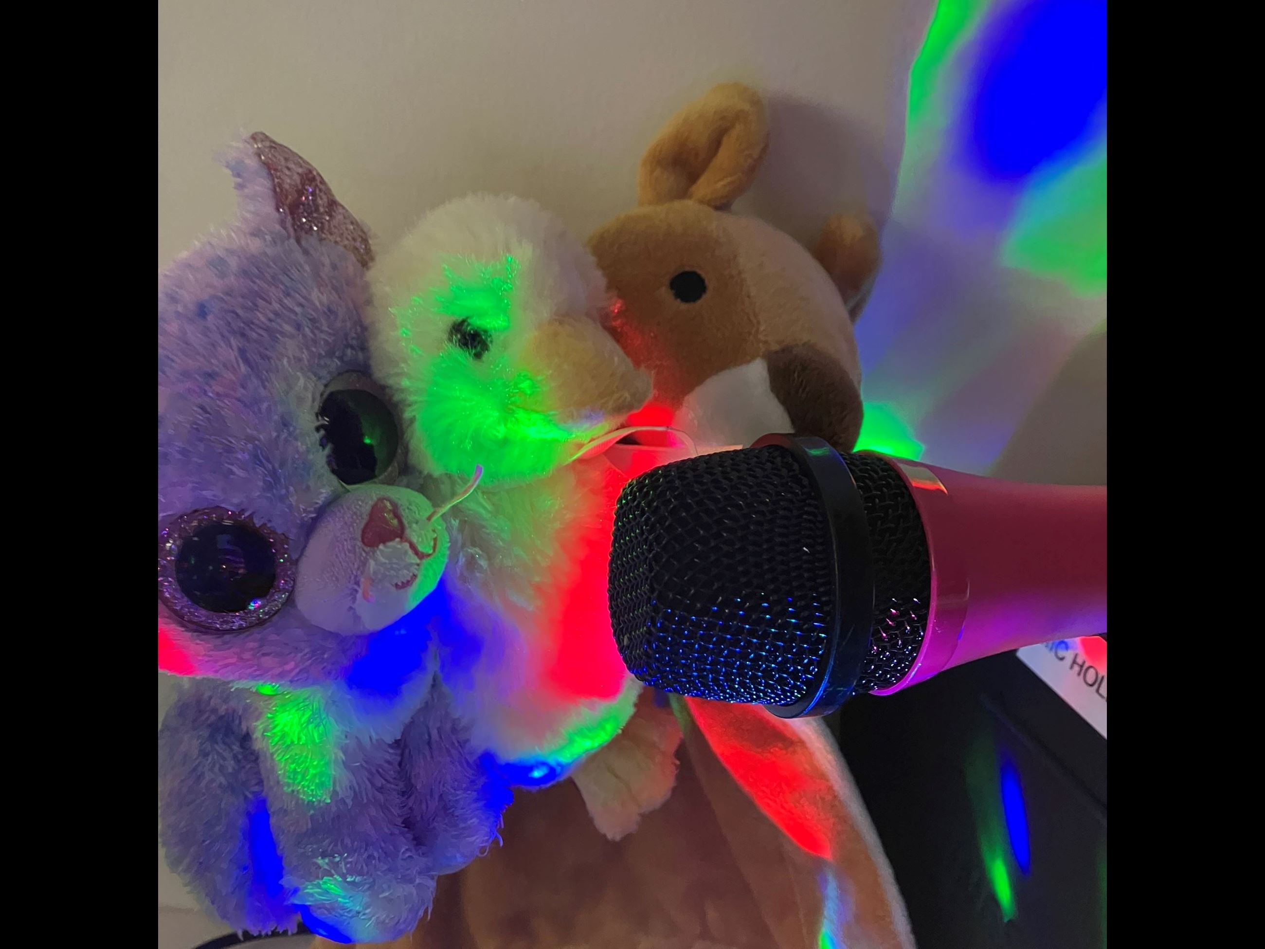 .Apple the purple kitty, Quaky the duck and Honey the brown bear stuffed animals