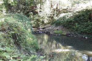 Abernethy Creek Park 3