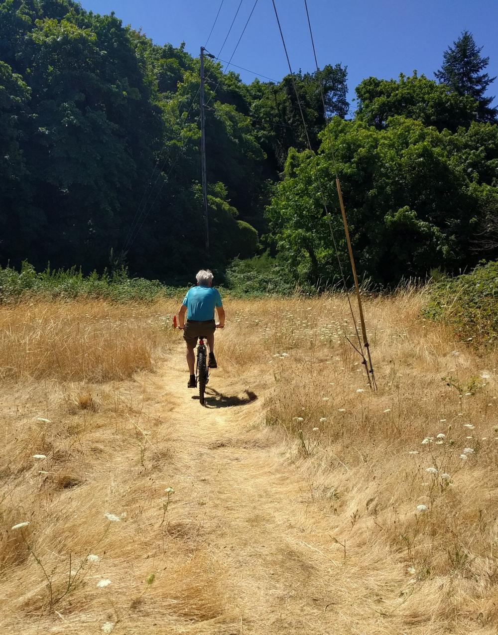 Person Riding Bike Through Trail on Greenway for a Day