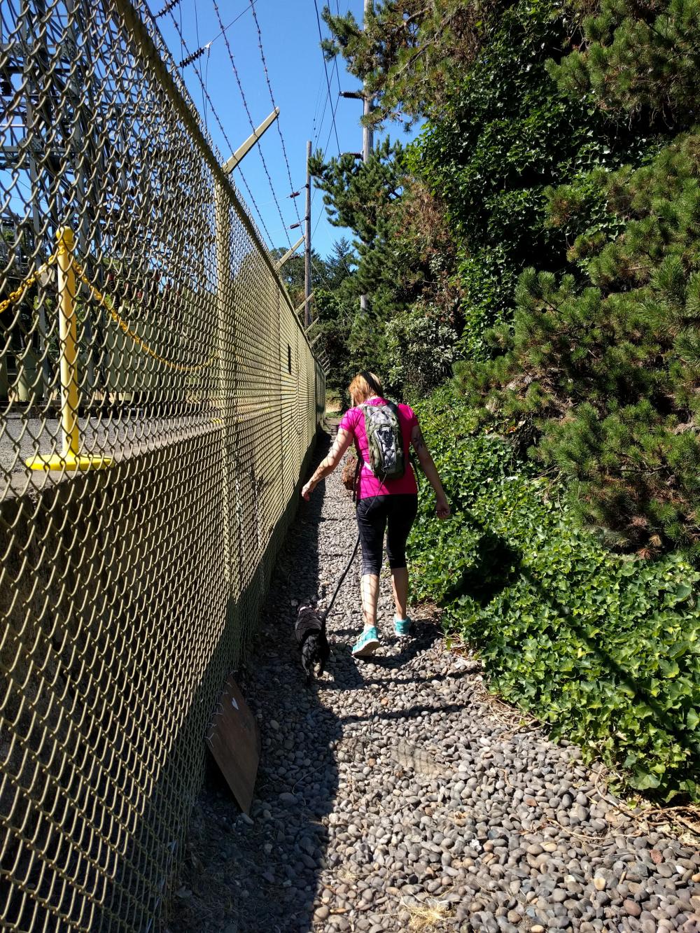 Woman Walking Dog on a Side Trail at Greenway for a Day