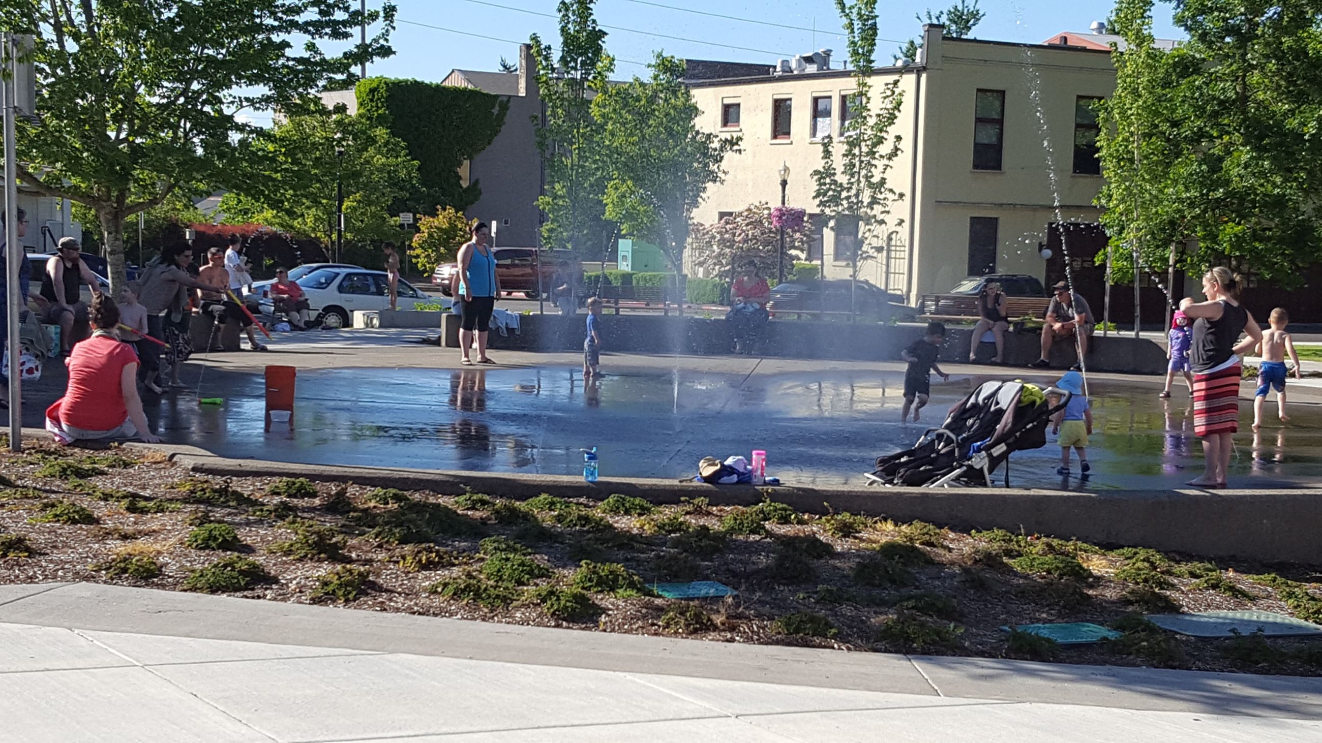 Library Spray Park