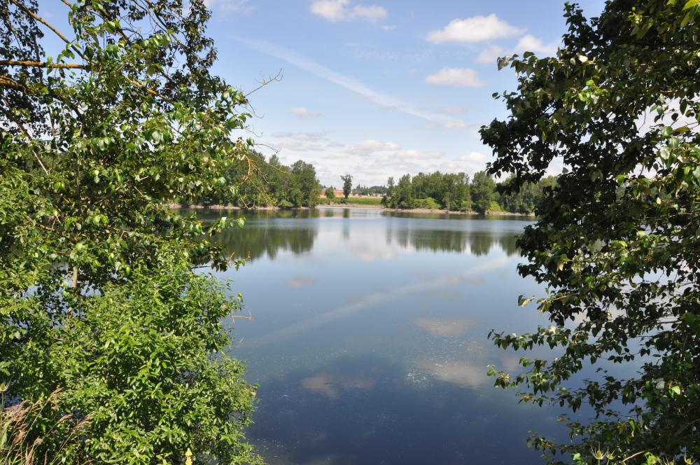 Clackamas River Trail