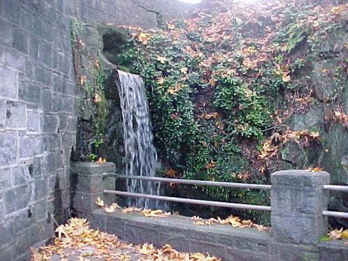 Photos Around Town 5