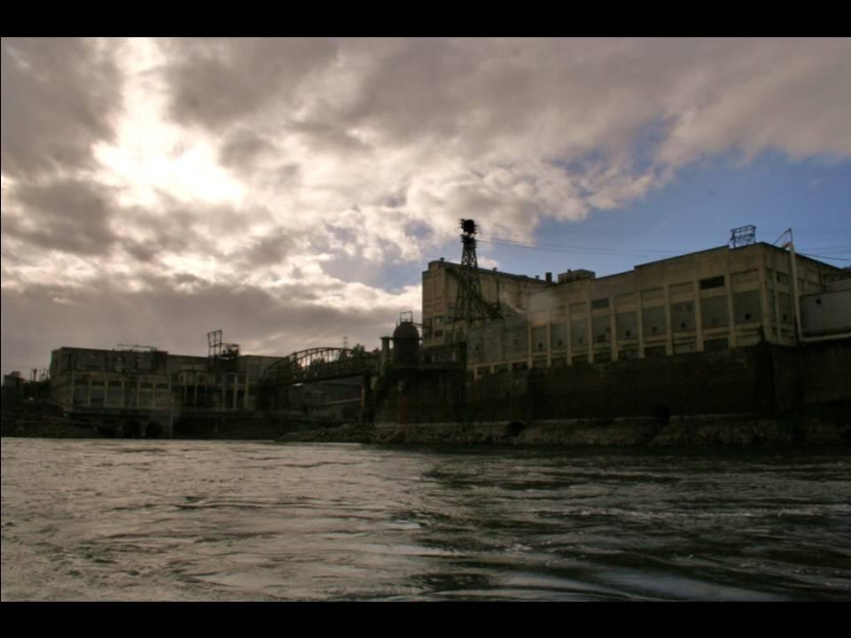 Willamette Falls Blue Heron Boat Tour 22
