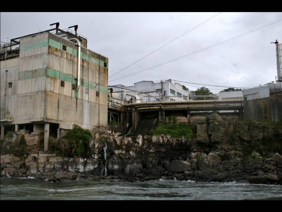 Willamette Falls Blue Heron Boat Tour 23