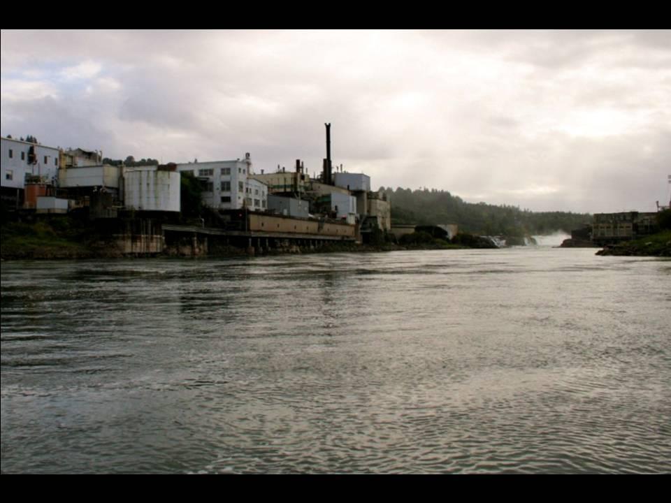 Willamette Falls Blue Heron Boat Tour 25