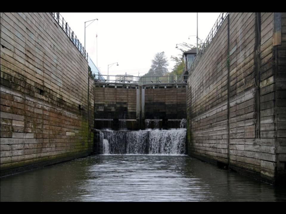 Willamette Falls Blue Heron Boat Tour 28