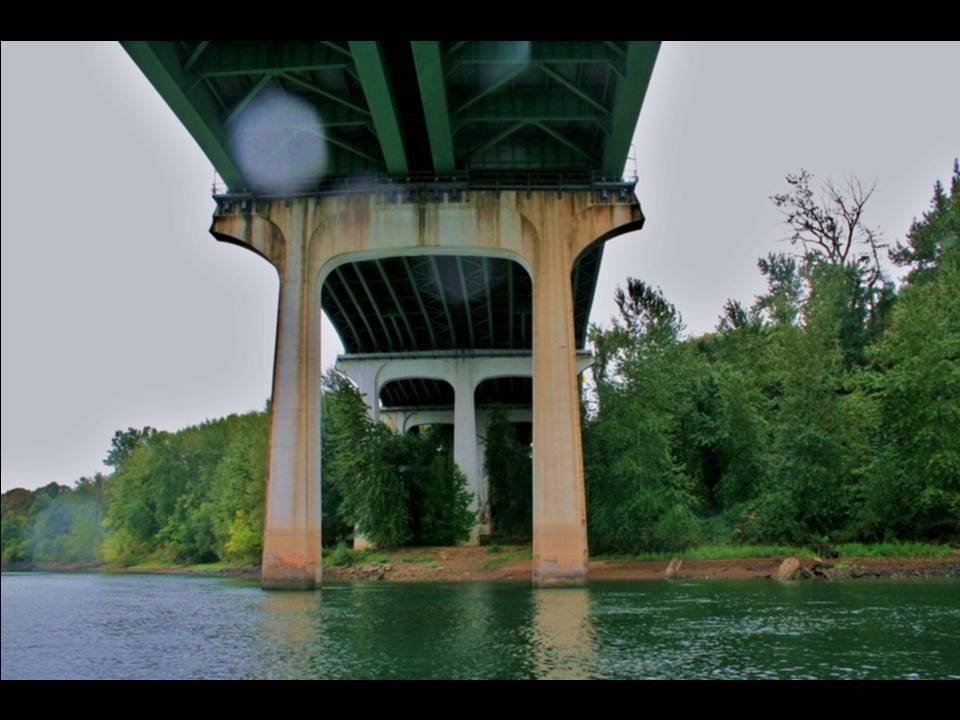 Willamette Falls Blue Heron Boat Tour 31