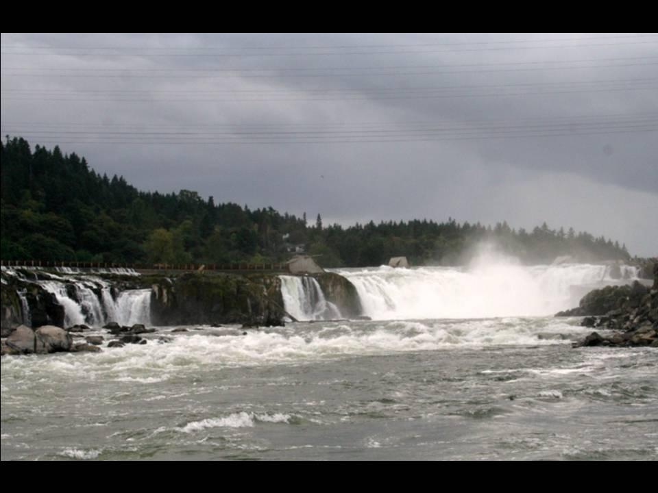 Willamette Falls Blue Heron Boat Tour 38