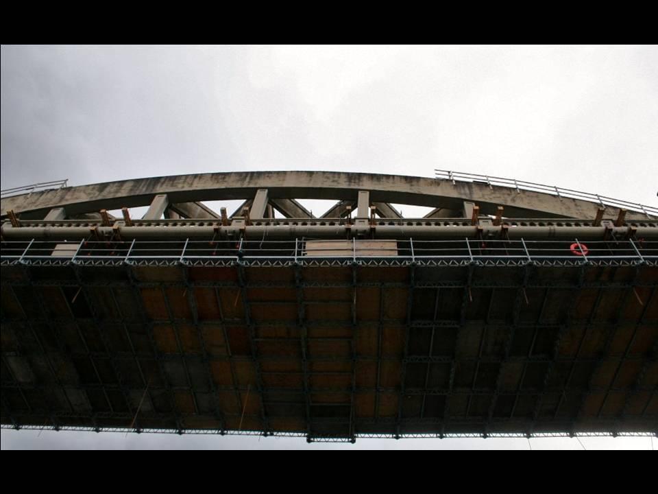 Willamette Falls Blue Heron Boat Tour 41