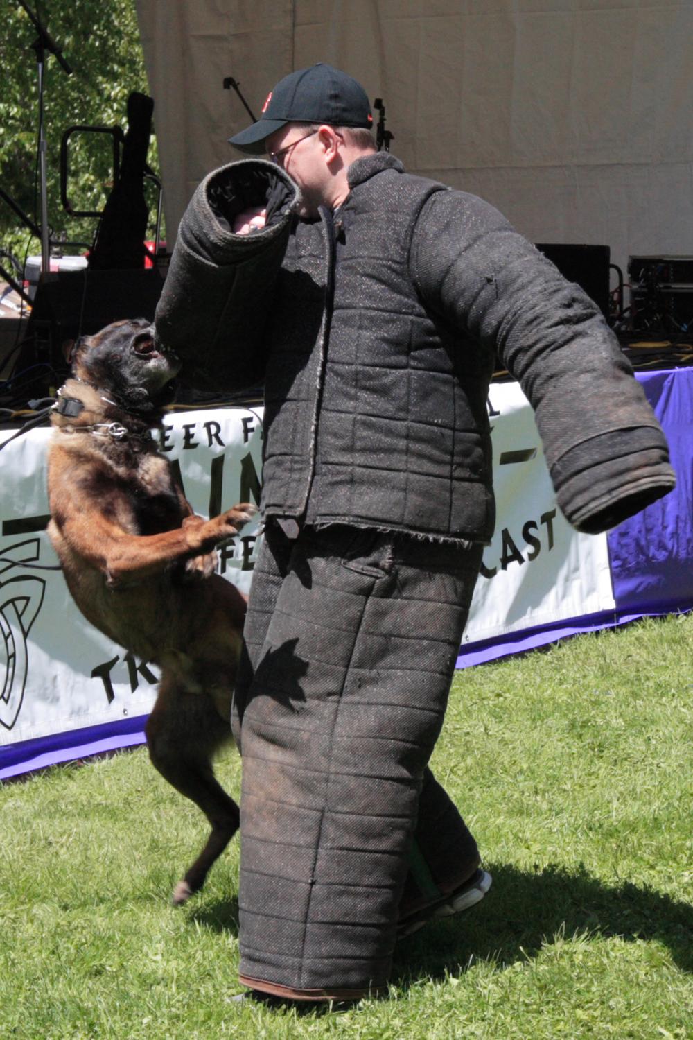 K-9 Police Practice 8