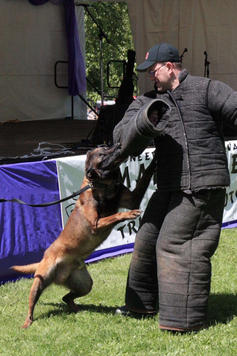 K-9 Police Practice 9