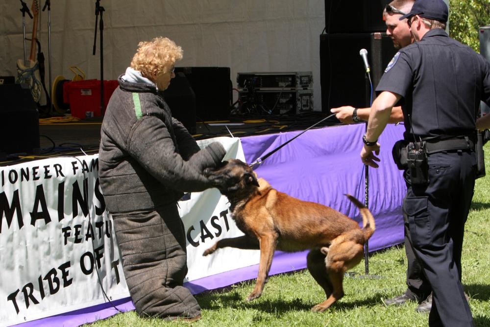 K-9 Police Practice 13