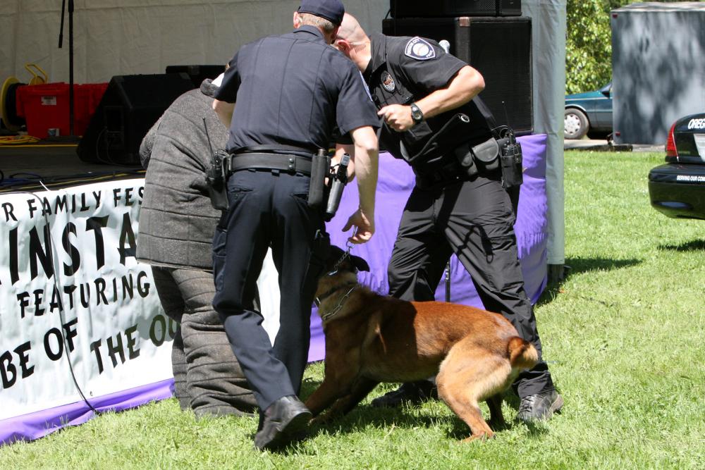 K-9 Police Practice 14