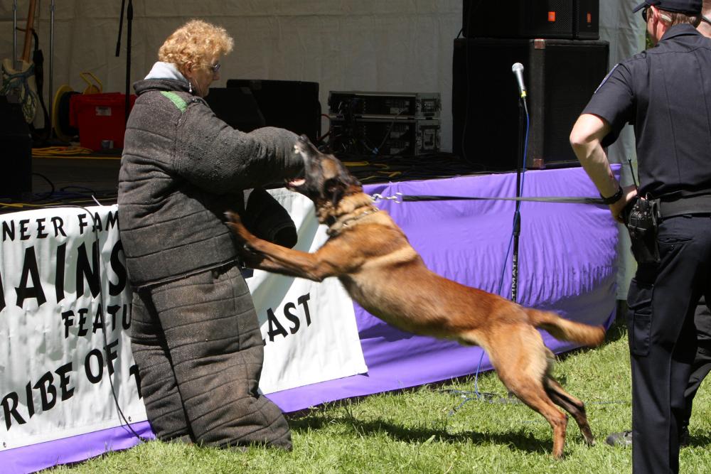 K-9 Police Practice 15