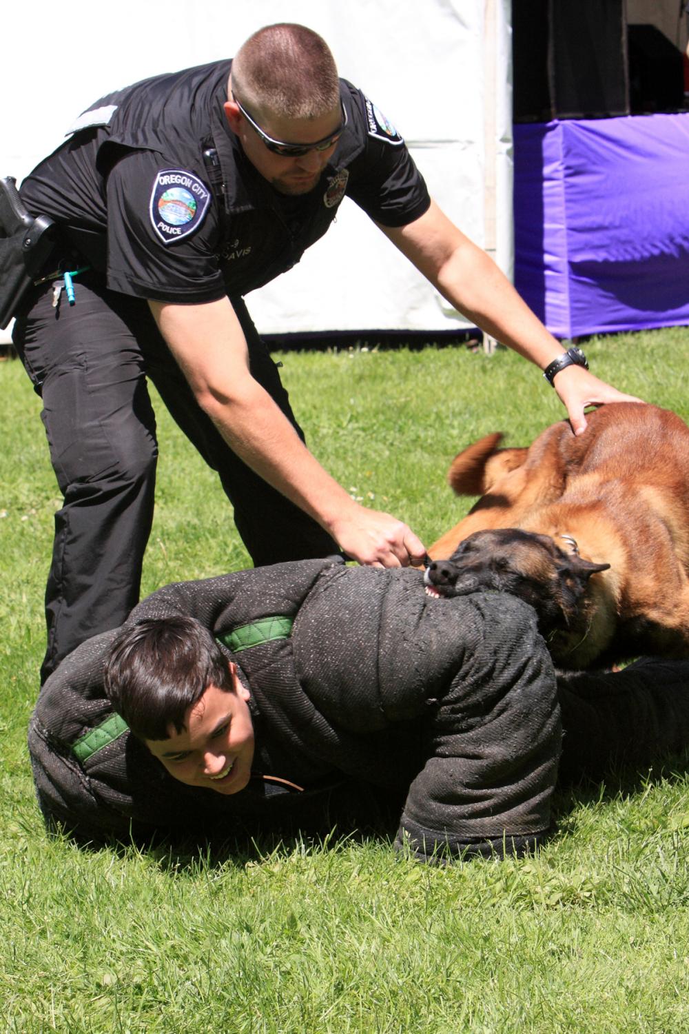 K-9 Police Practice 16