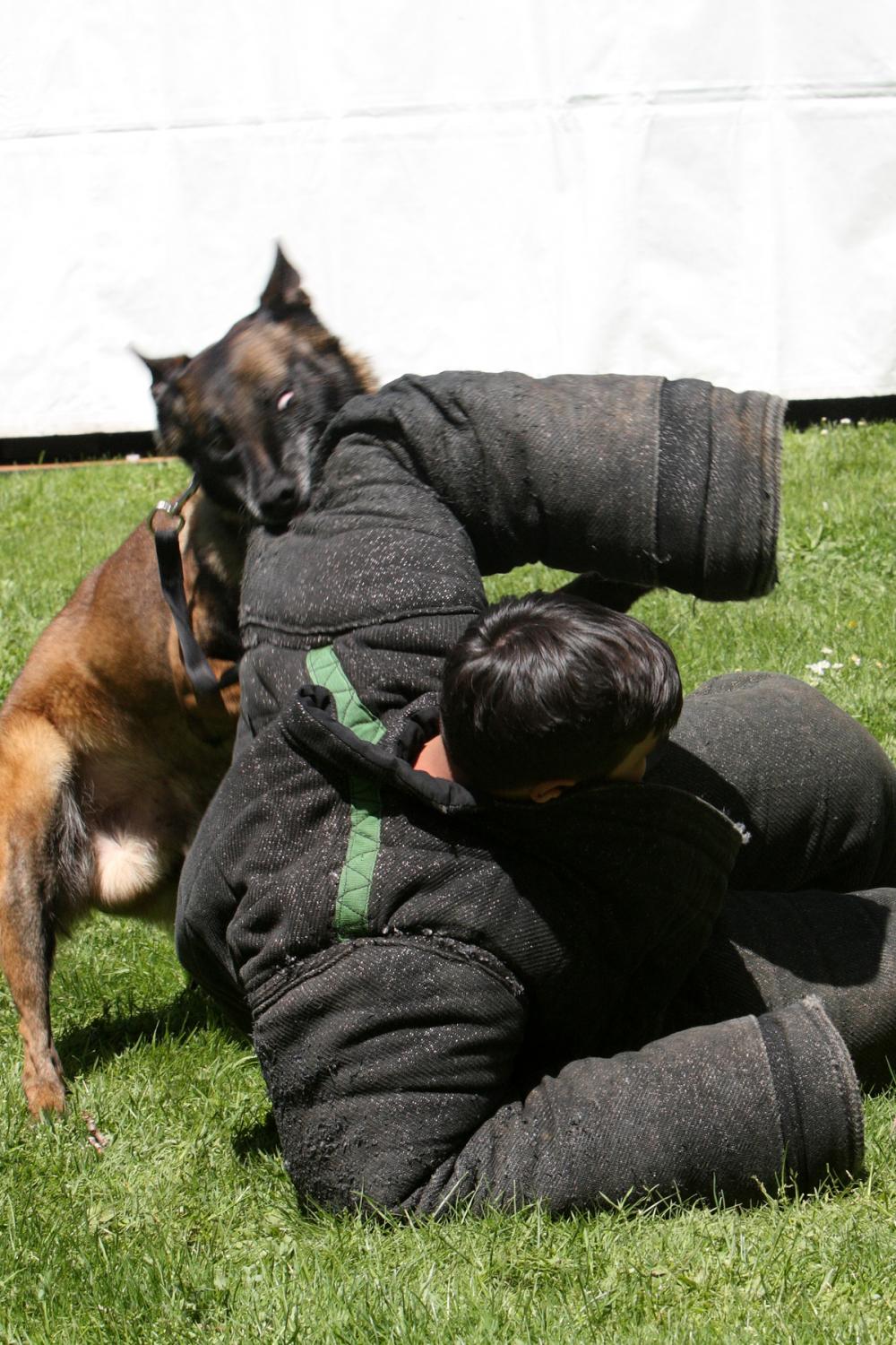 K-9 Police Practice 20