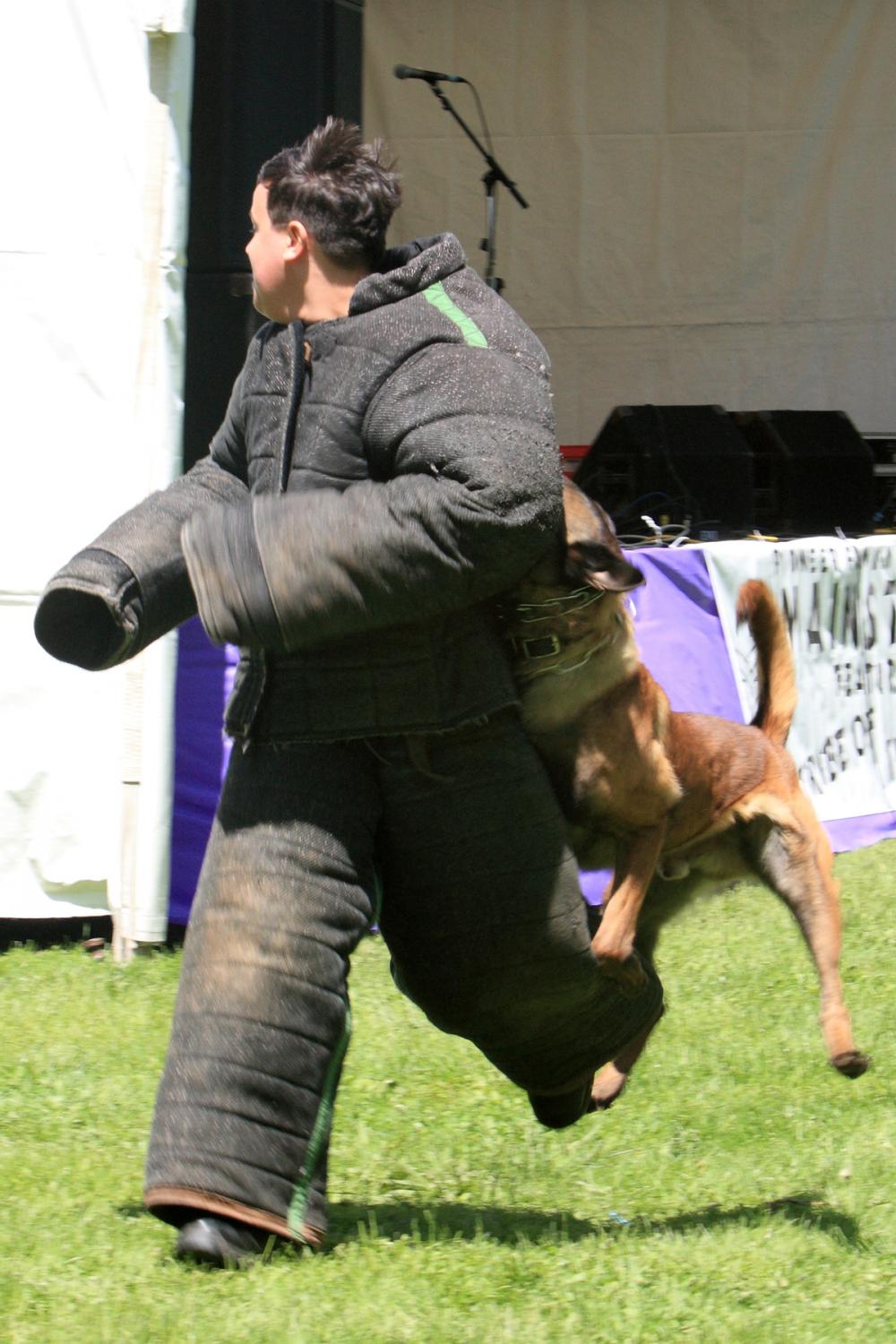 K-9 Police Practice 21