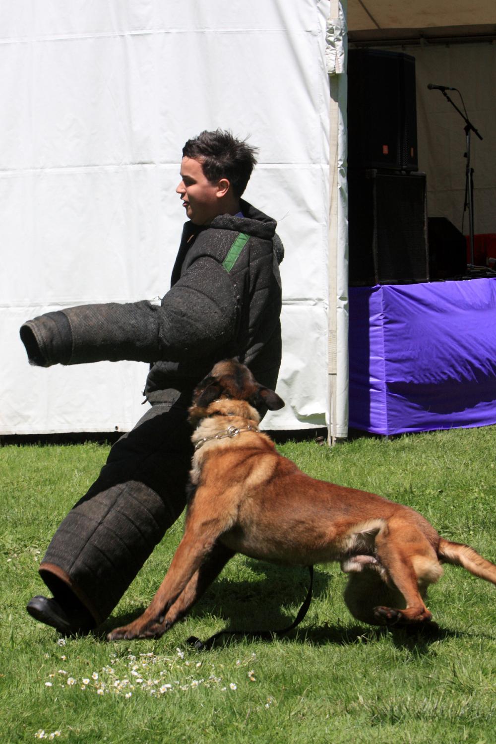 K-9 Police Practice 22