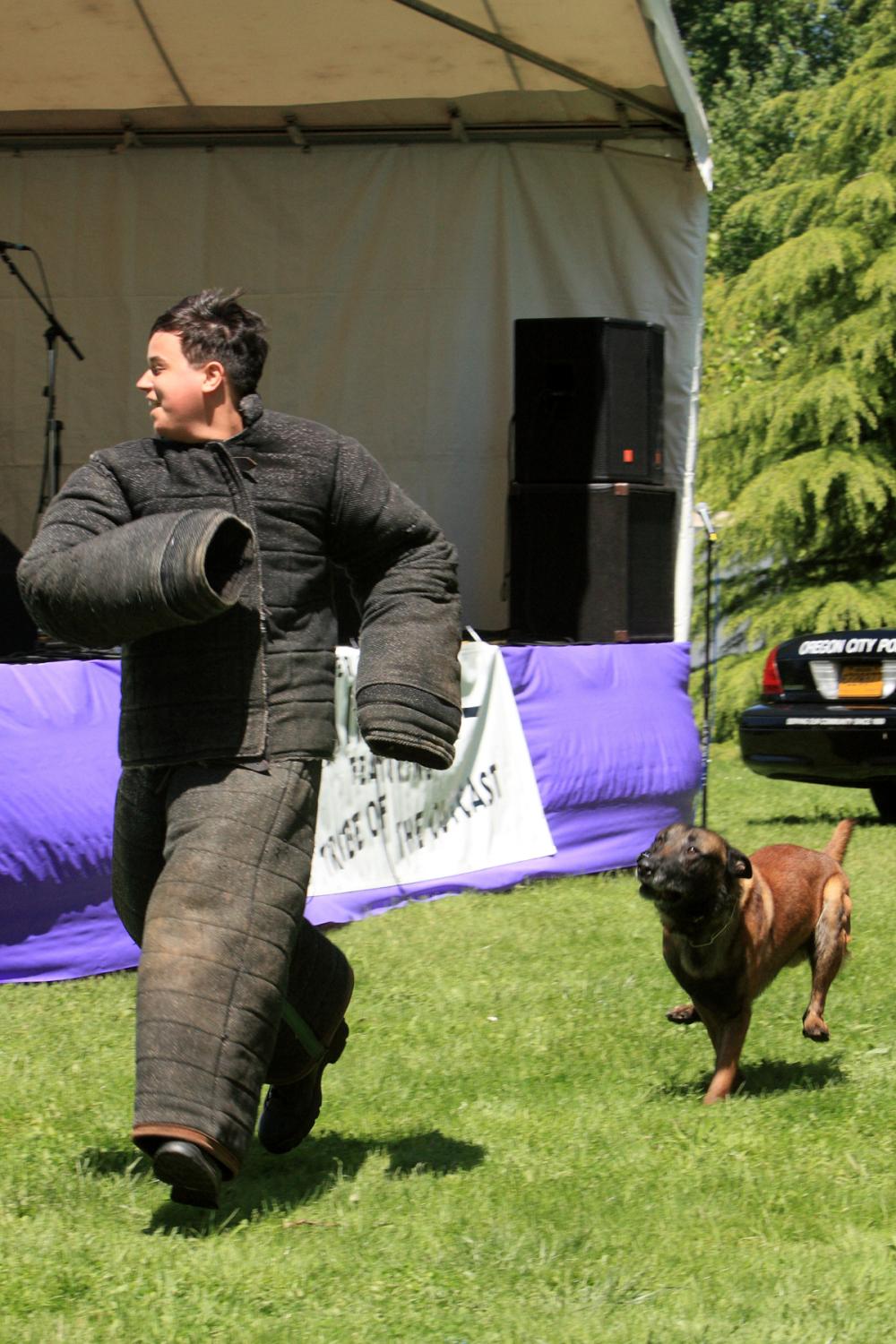 K-9 Police Practice 24