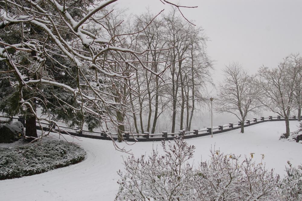 Winter Snowstorms 14