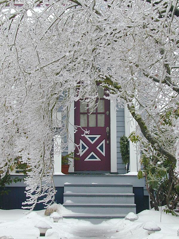 Winter Snowstorms 10