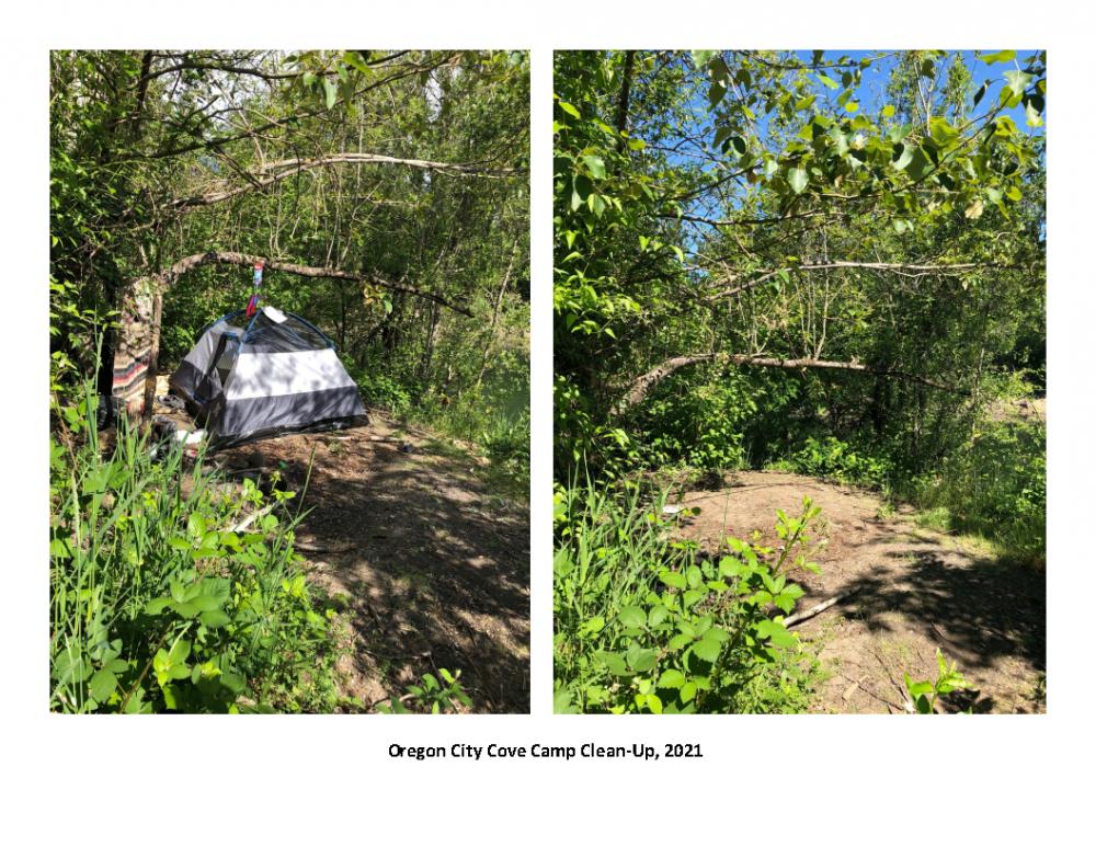 Oregon City Cove Camp Clean-up, 2021 - Photo 2