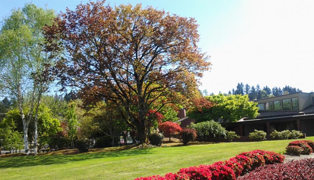 Pioneer Community Center 7