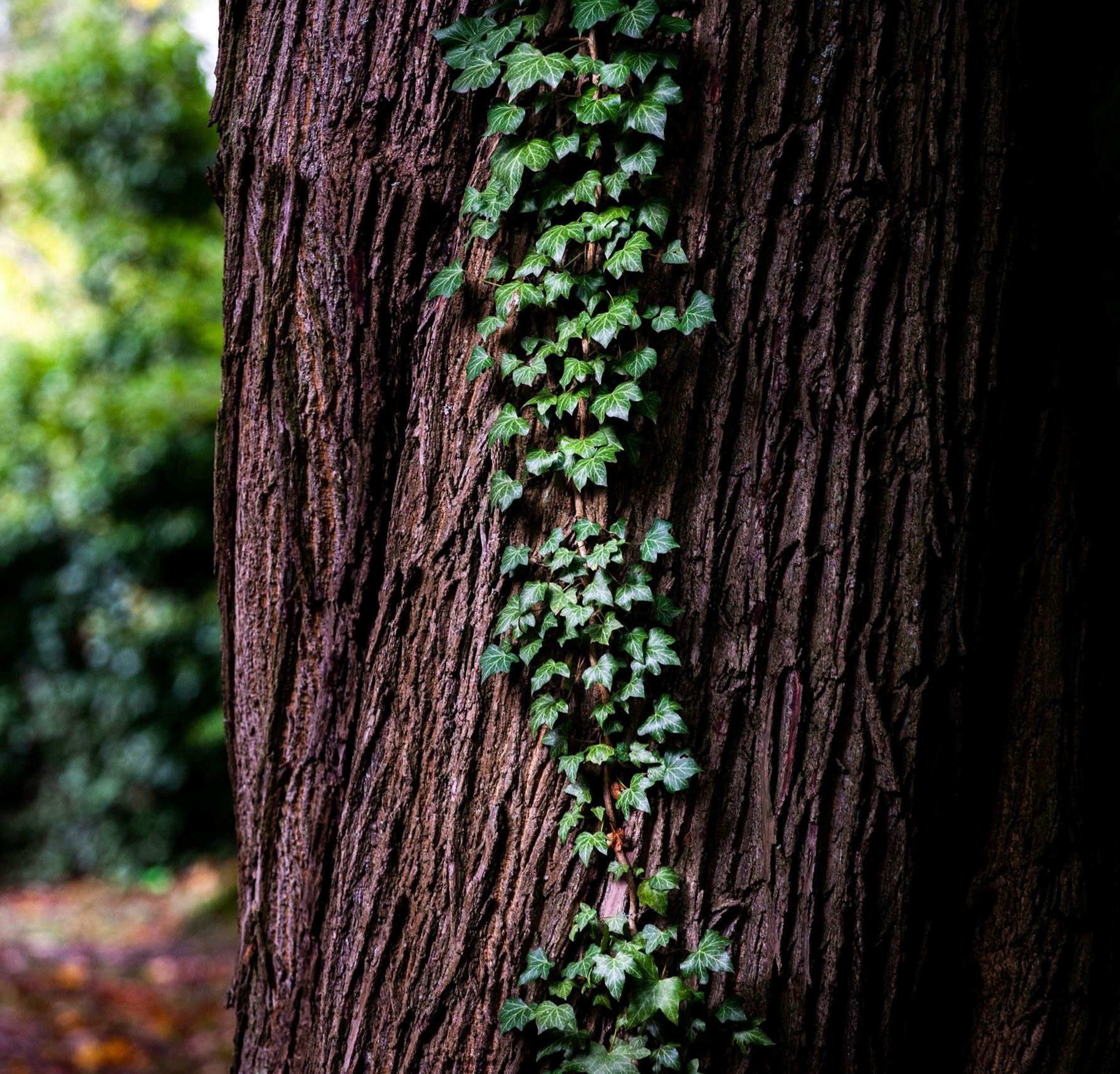 AdobeStock_417523020