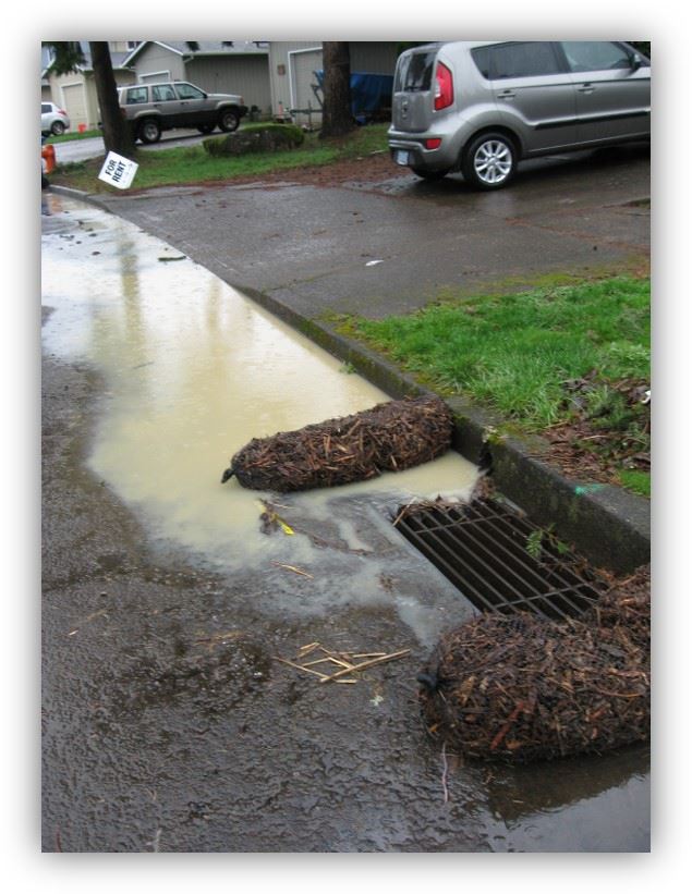 stormwater