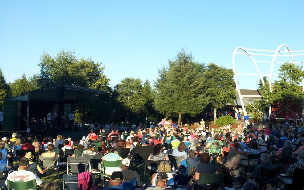People in Lawn Chairs Watching a Concert