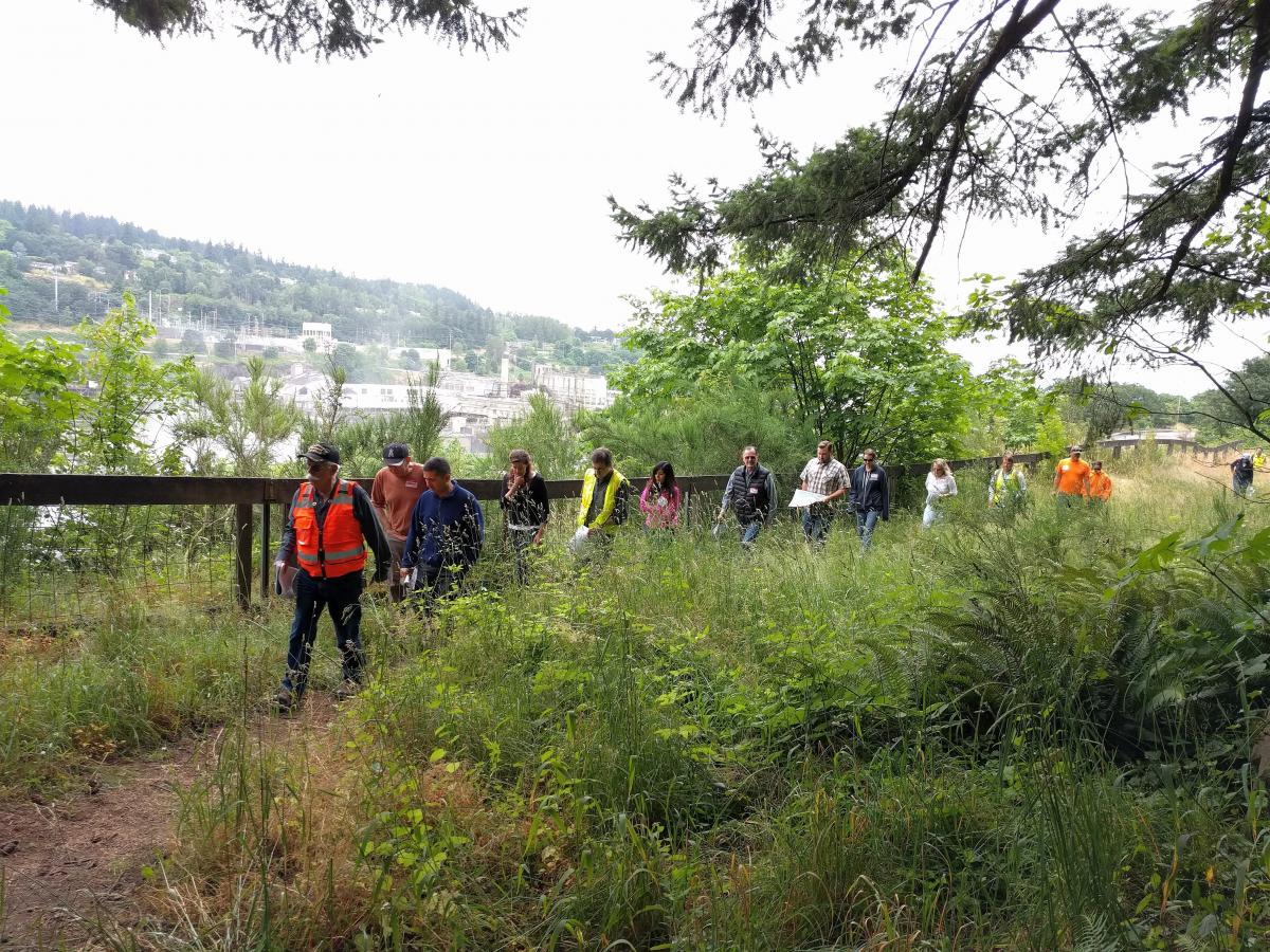 McT Advisory Members Participating in Greenway for a Day