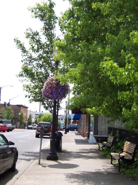 Downtown Oregon City