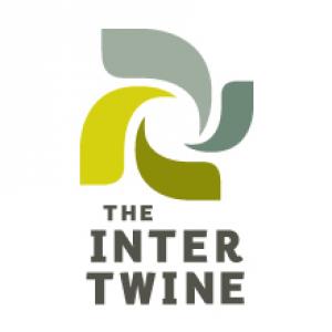The Intertwine