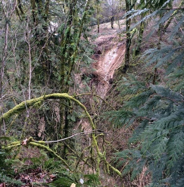 Trillium Park Drive Landslide